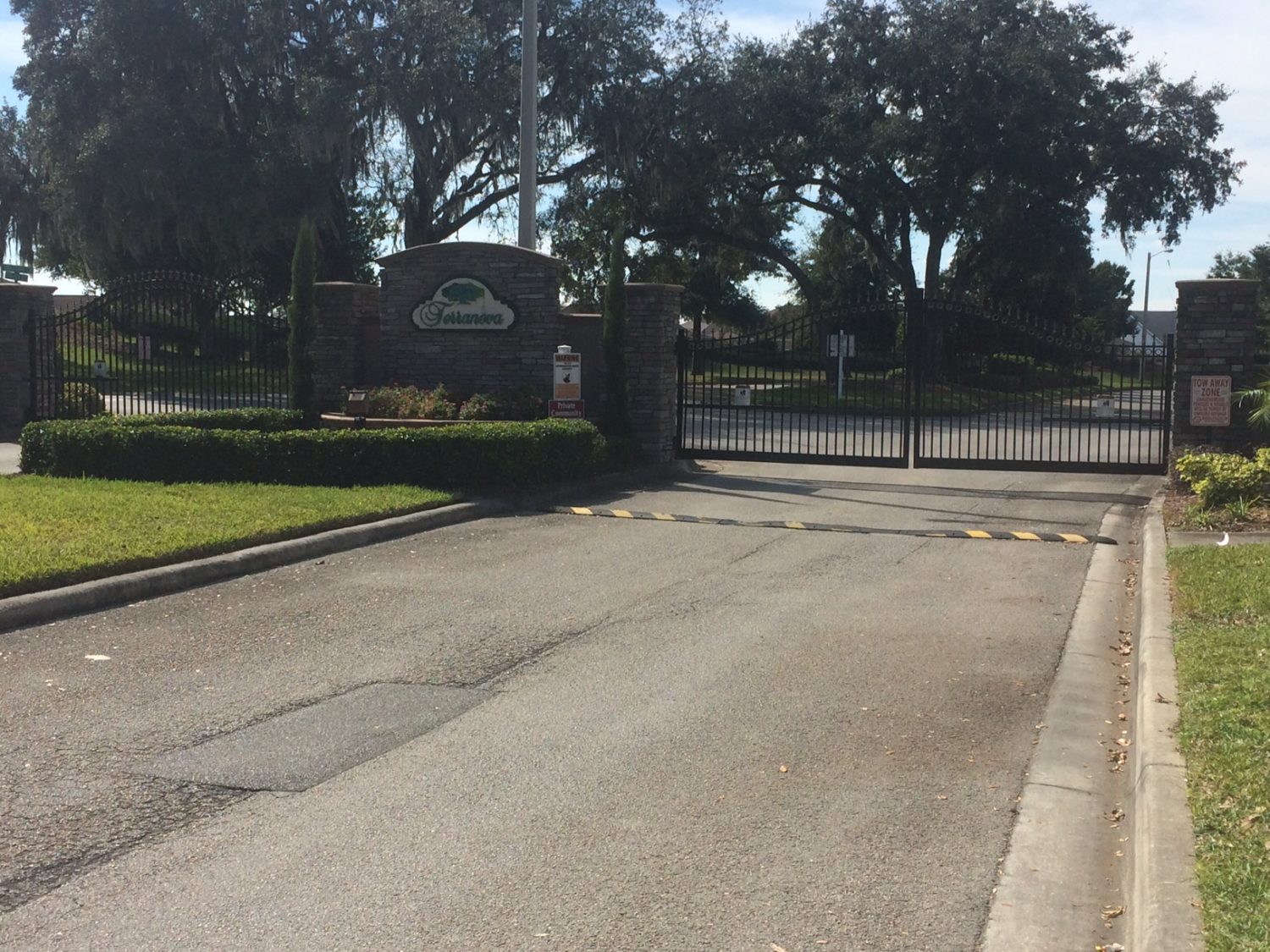 Terra Nova - Winter Haven